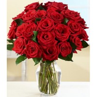 Rosas Rojas
