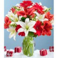 /album/fotogaleria-por-tipo-de-flor/gerberas-navidenas-jpg2/